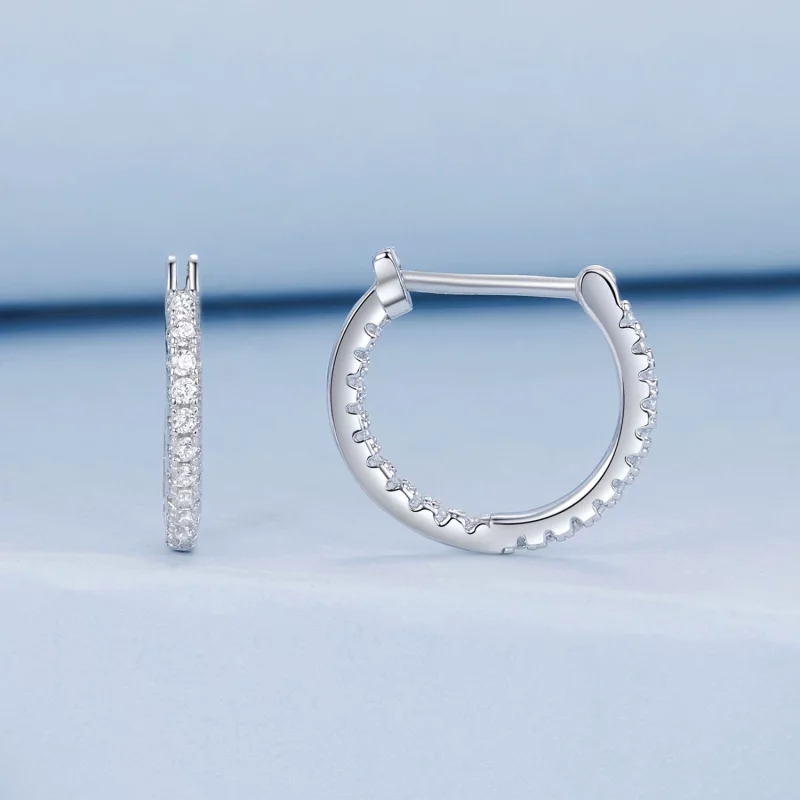 (image pour) Boucles d'oreilles Brillantes Style PANDORA - BSE1023 - Afficher 2