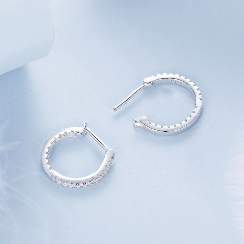 (image pour) Boucles d'oreilles Brillantes Style PANDORA - BSE1023 - Afficher 4