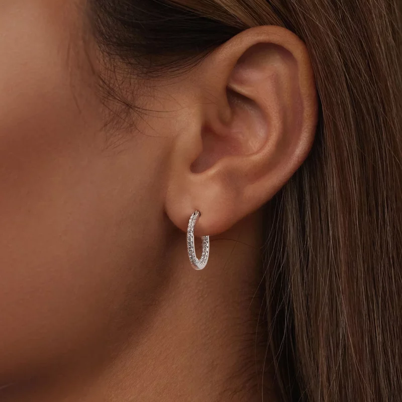 (image pour) Boucles d'oreilles Brillantes Style PANDORA - BSE1023 - Afficher 6