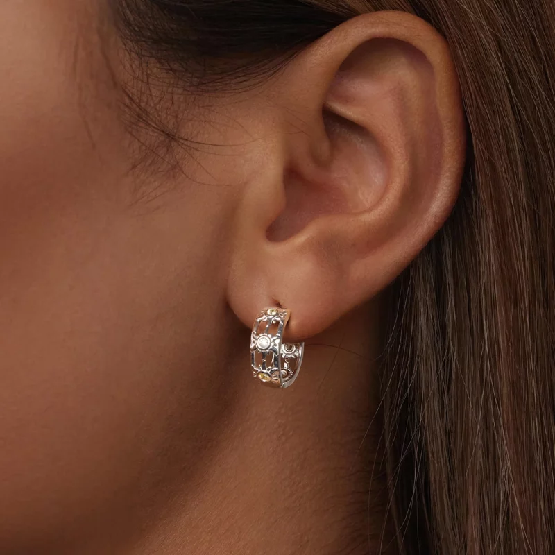 (image pour) Boucles d'oreilles Style PANDORA Soleil - BSE1007 - Afficher 5
