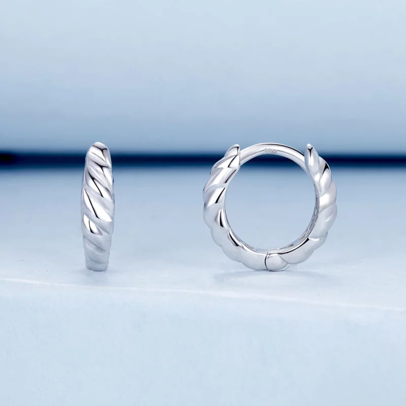(image pour) Boucles d'oreilles torsade métallique style PANDORA - BSE1024-S - Afficher 2