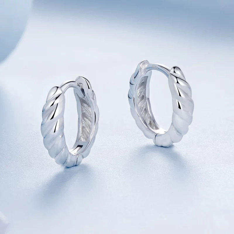 (image pour) Boucles d'oreilles torsade métallique style PANDORA - BSE1024-S - Afficher 3