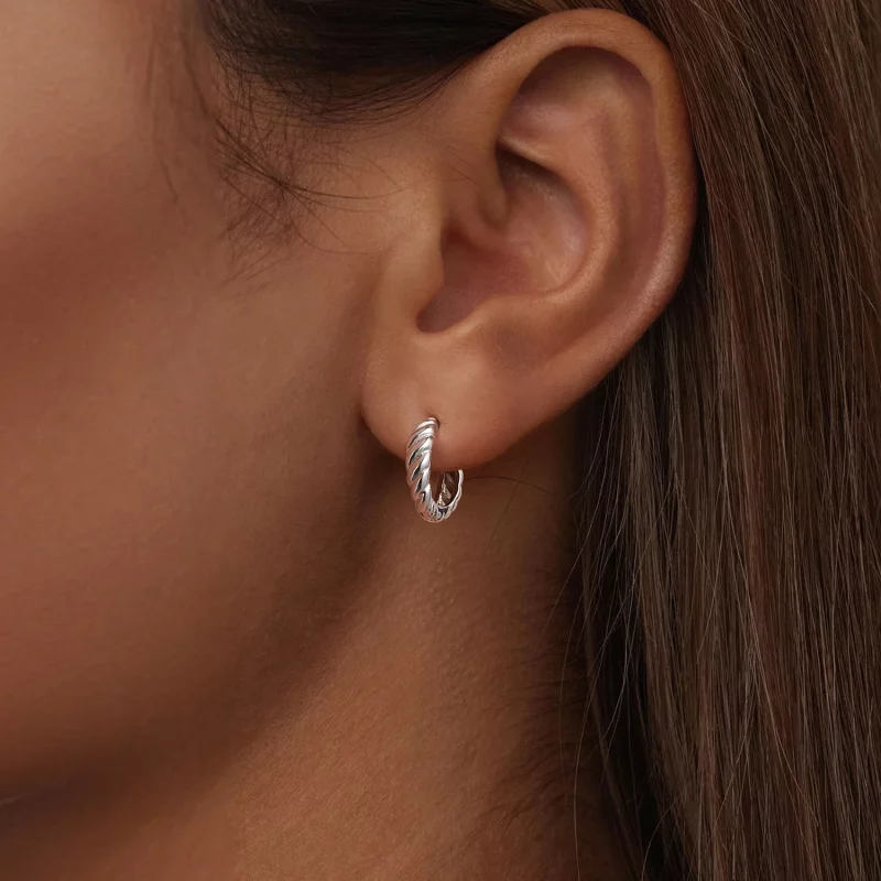 (image pour) Boucles d'oreilles torsade métallique style PANDORA - BSE1024-S - Afficher 6