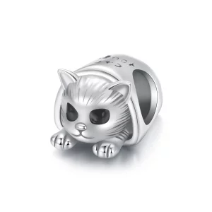 (image pour) Charme Maison de Chat Confortable de la Collection PANDORA - SCC2797