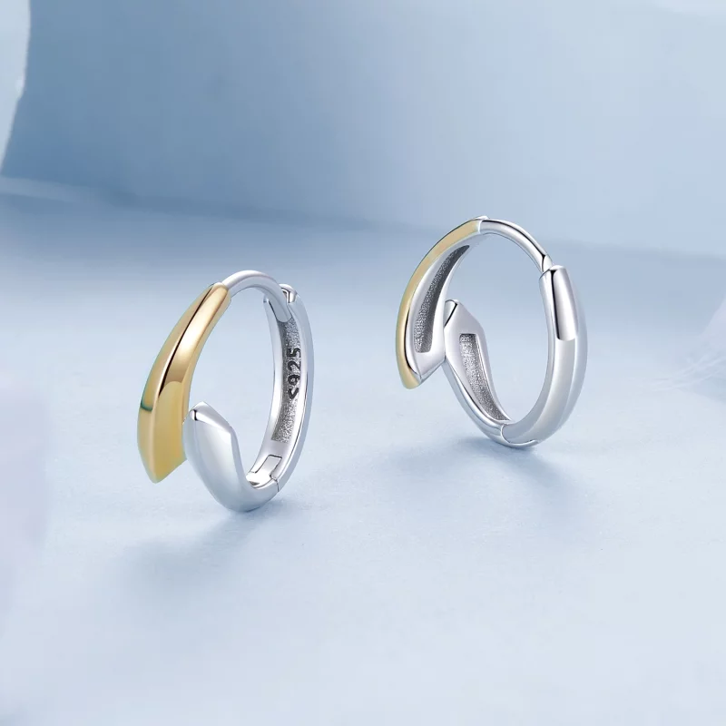 (image pour) PANDORA Style Boucles d'oreilles bicolores - BSE1021 - Afficher 3