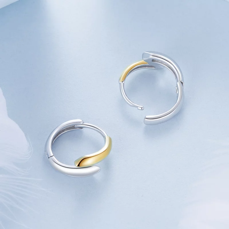 (image pour) PANDORA Style Boucles d'oreilles bicolores - BSE1021 - Afficher 4