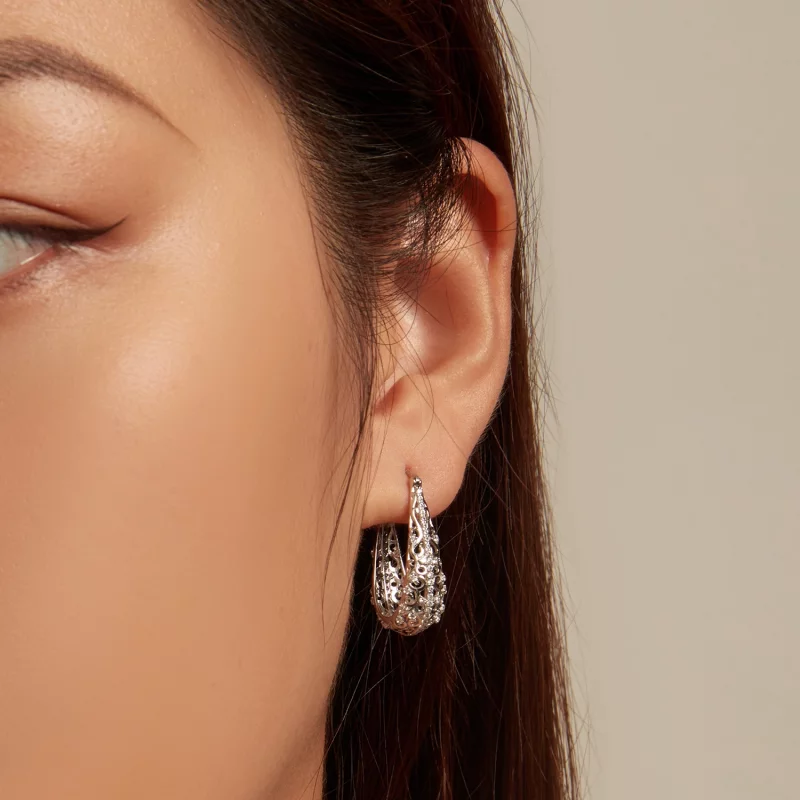 (image pour) Boucles d'oreille à motifs style PANDORA - BSE753 - Afficher 5