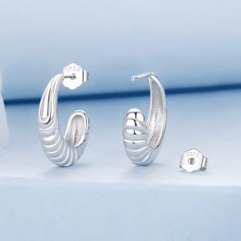 (image pour) Boucles d'oreille texture tempérament style PANDORA - BSE1058 - Afficher 2