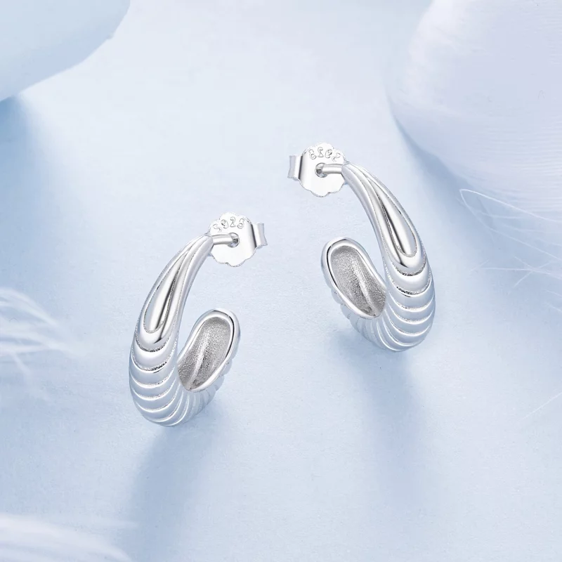 (image pour) Boucles d'oreille texture tempérament style PANDORA - BSE1058 - Afficher 3