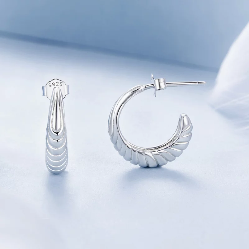 (image pour) Boucles d'oreille texture tempérament style PANDORA - BSE1058 - Afficher 4