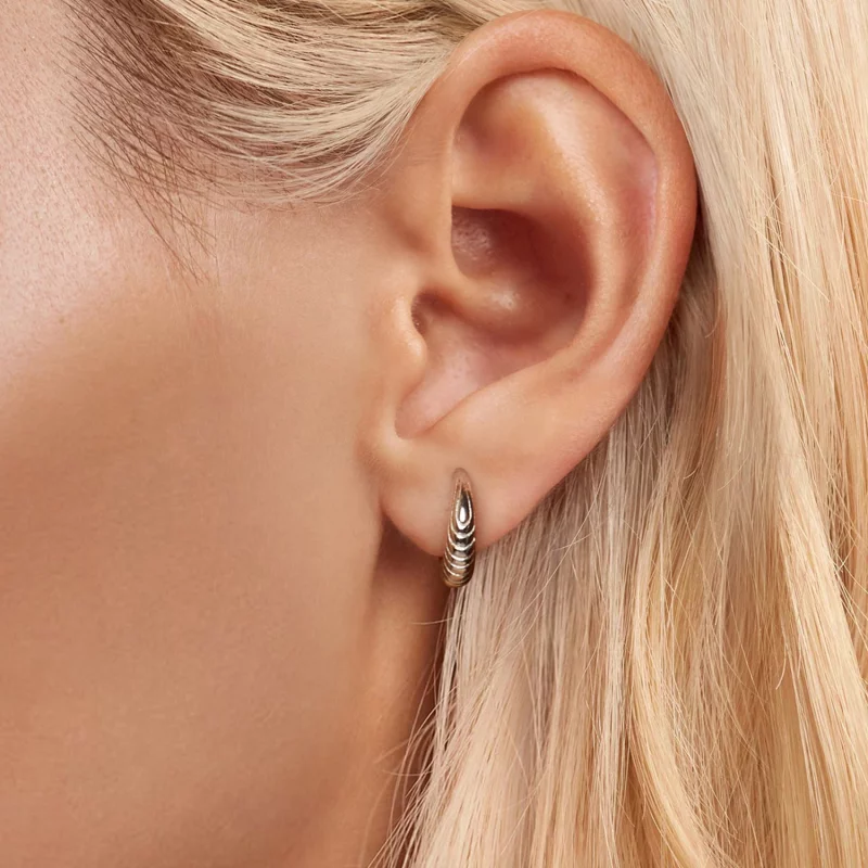 (image pour) Boucles d'oreille texture tempérament style PANDORA - BSE1058 - Afficher 5