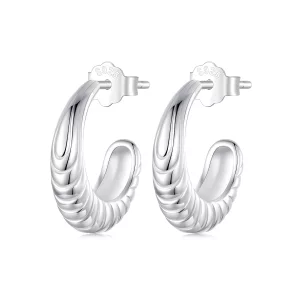 (image pour) Boucles d'oreille texture tempérament style PANDORA - BSE1058