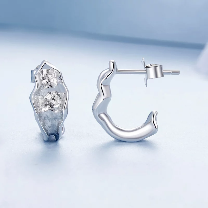 (image pour) Boucles d'oreilles argent scintillant style PANDORA - BSE1062 - Afficher 4