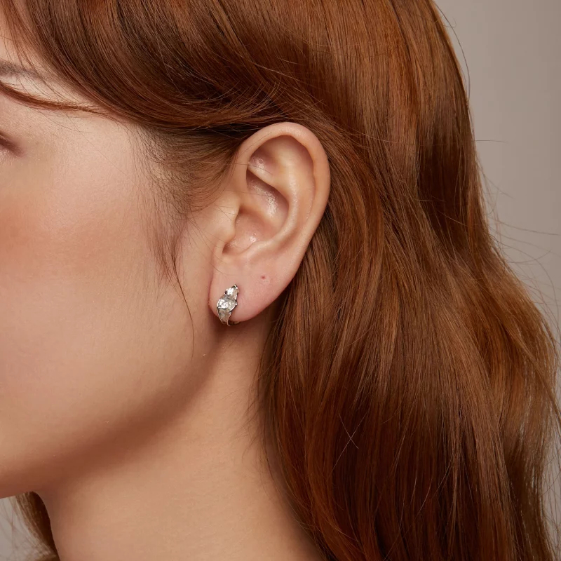 (image pour) Boucles d'oreilles argent scintillant style PANDORA - BSE1062 - Afficher 10