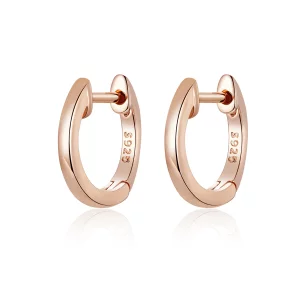 (image pour) Boucles d'oreilles simples style PANDORA - SCE808-C