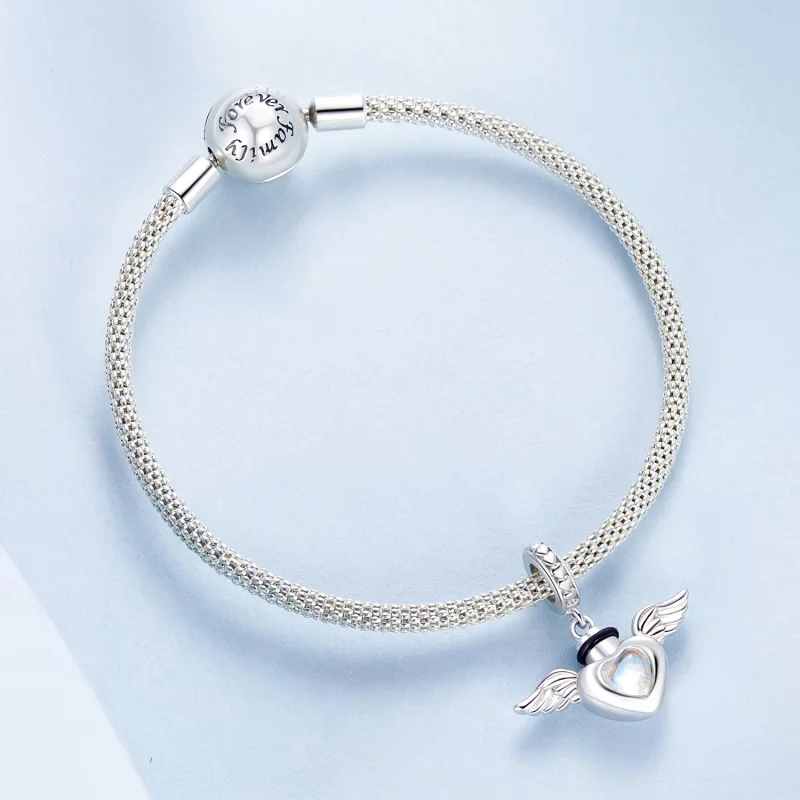 (image pour) Urne funéraire pour animaux de compagnie style PANDORA pendentif boîte commémora - Afficher 5