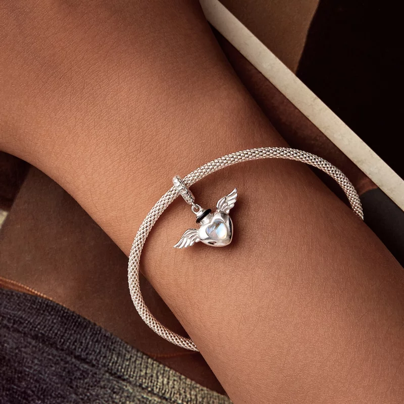 (image pour) Urne funéraire pour animaux de compagnie style PANDORA pendentif boîte commémora - Afficher 6