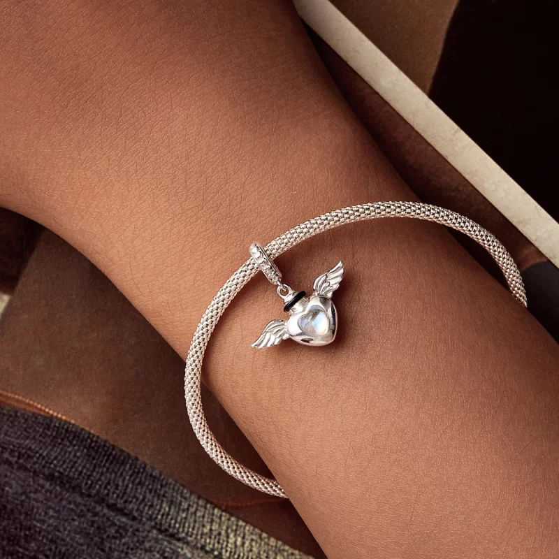 (image pour) Urne funéraire pour animaux de compagnie style PANDORA pendentif boîte commémora - Afficher 7
