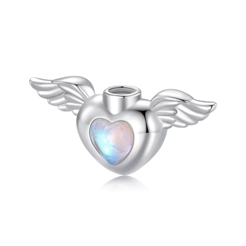 (image pour) Urne funéraire pour animaux de compagnie style PANDORA pendentif boîte commémora - Afficher 8