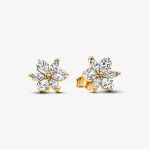 (image pour) Boucles d'oreilles à clou en forme de bouquet d'herbier scintillant Pandora - 262633C01
