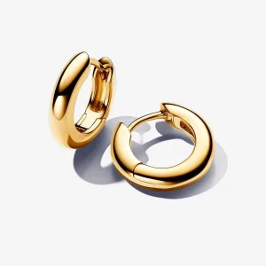 (image pour) Boucles d'oreilles rondes Pandora - 263320C00