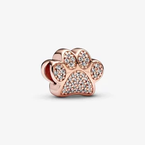 (image pour) Charme Patte Scintillante Pandora - 781714C01