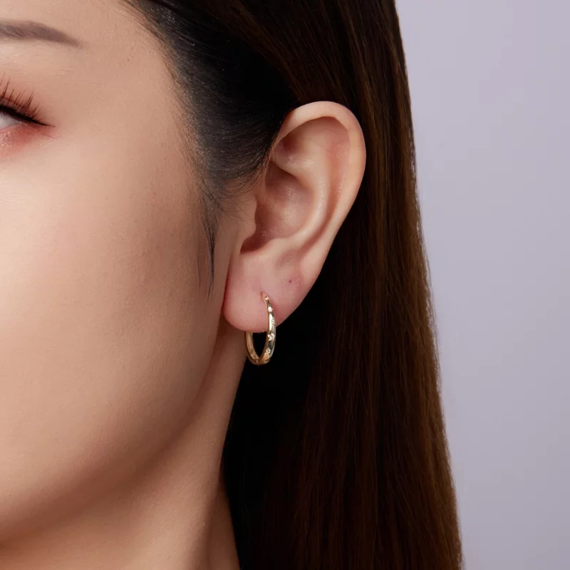 (image pour) Boucles d'oreilles créoles Pandora Style S925 en argent sterling avec zircons cu - Afficher 9