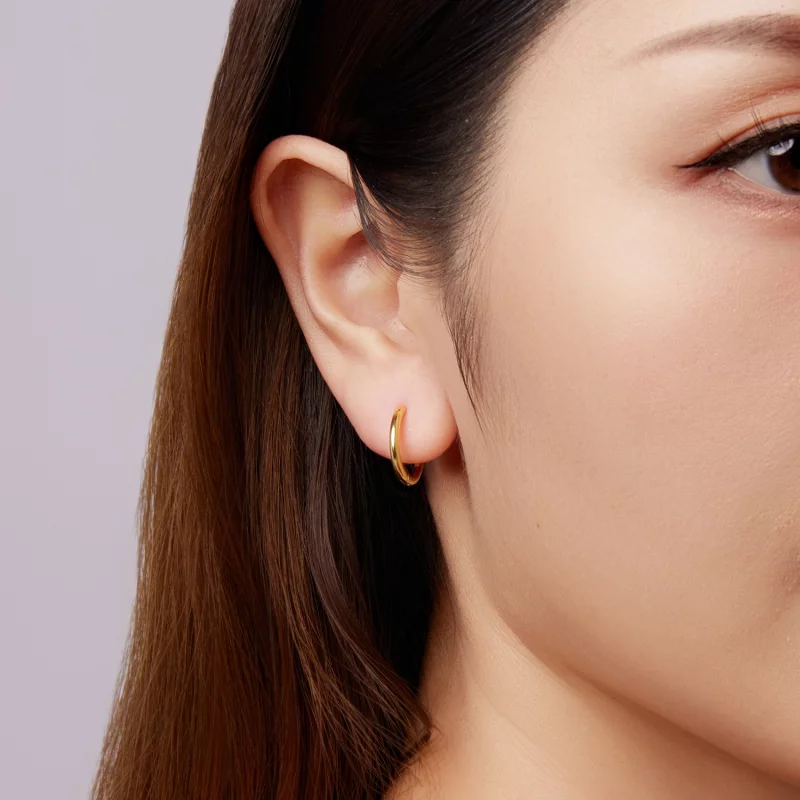 (image pour) Pandora Style Boucles d'oreilles en argent 925 plaqué or - SCE1772-BM - Afficher 10