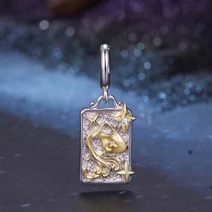 (image pour) Charme Zodiacale Verseau Pandora en Argent 925 plaqué Platine et Or avec Zirconium - BSC1164-1