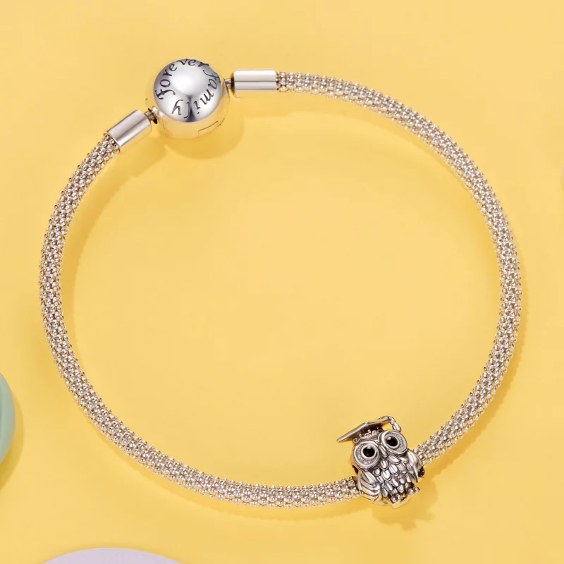 (image pour) Perle de Hibou Sagesse en Argent 925 Sterling Style Pandora - SCC3128 - Afficher 5