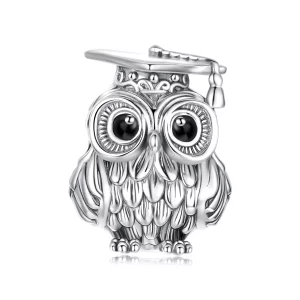 (image pour) Perle de Hibou Sagesse en Argent 925 Sterling Style Pandora - SCC3128