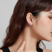Clous d'Oreilles Style PANDORA Beau renard - SCE1084