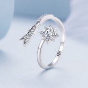 Bague d'ouverture météore exquise de style Pandora - BSR413