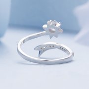 Bague d'ouverture météore exquise de style Pandora - BSR413