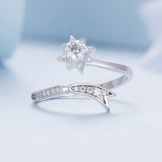 Bague d'ouverture météore exquise de style Pandora - BSR413