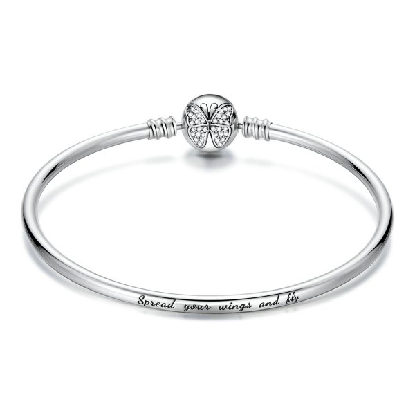 Bracelet argenté de style Pandora - BSB084