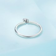 Bague de style Pandora avec empreinte de chien - SCR892