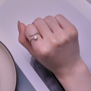 Bague d'ouverture météore exquise de style Pandora - BSR413