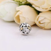 Famille pour toujours PANDORA France - 791040