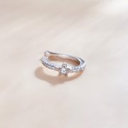 Clip d'oreille unique - SCE1024