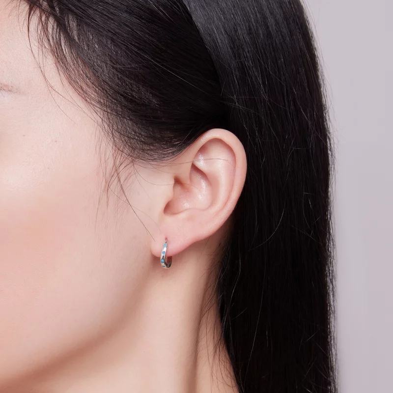 (image pour) Boucles d'oreilles à anneaux style Pandora Wave - SCE1593 - Afficher 6