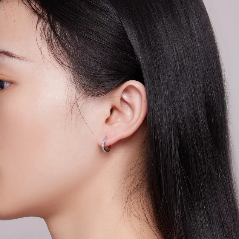 (image pour) Boucles d'oreilles à anneaux style Pandora Wave - SCE1593 - Afficher 7