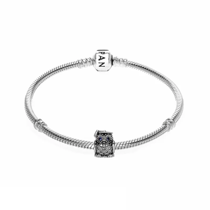(image pour) PANDORA - Bracelet en Argent, L'obtention du diplôme - 285279