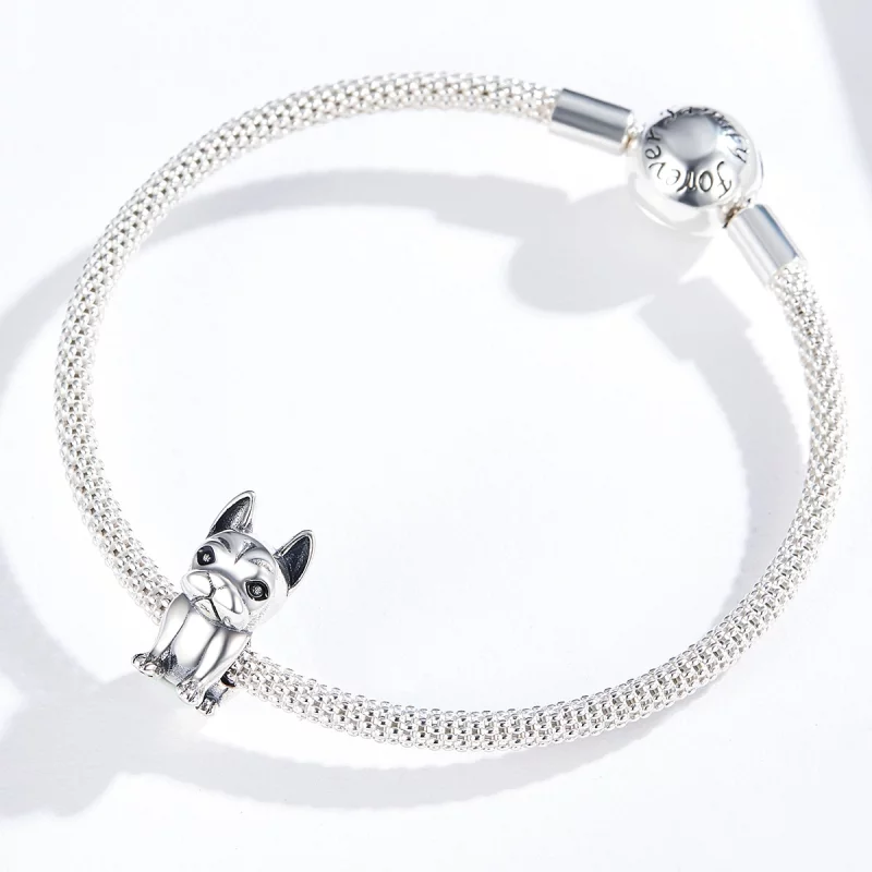 (image pour) Charm Style PANDORA Bulldog français - SCC1306 - Afficher 5