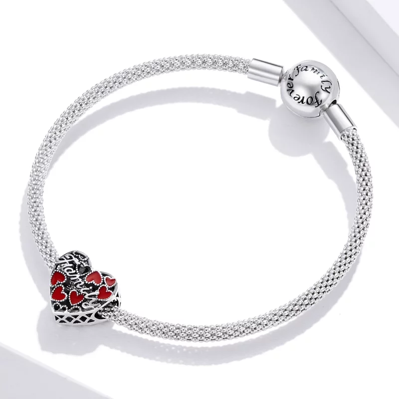 (image pour) Charm Style PANDORA Famille chaleureuse - SCC1750 - Afficher 3