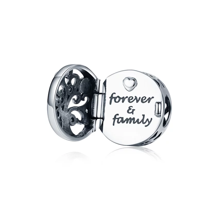 (image pour) Charm Style PANDORA La famille pour toujours - SCC1259