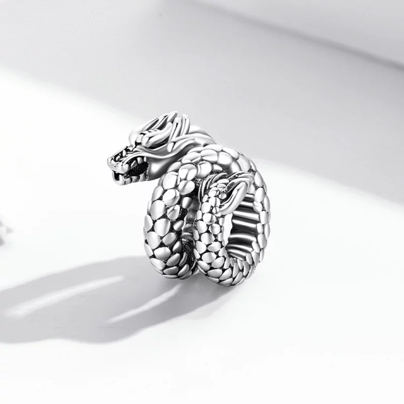 (image pour) Style Pandora Charm rétro Panlong - BSC546 - Afficher 2