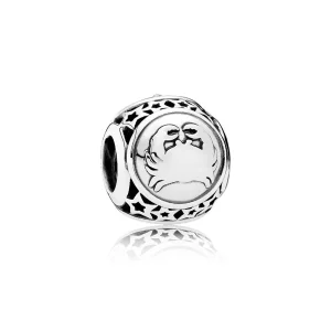(image pour) Charm Cancer - 791939