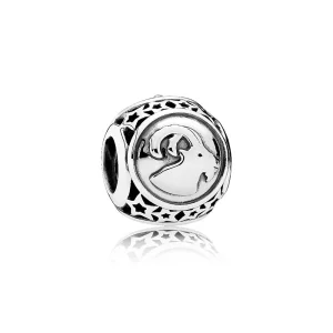 (image pour) Charm Capricorne - 791945