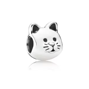 (image pour) Charm Chat Curieux - 791706